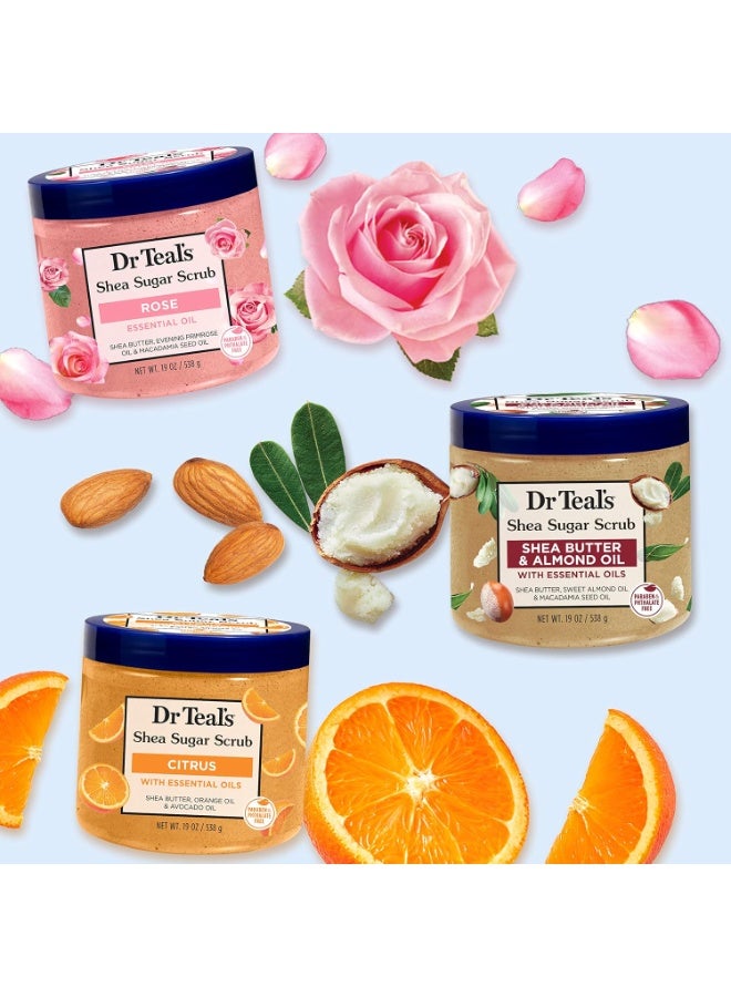 Dr Teal's Dr Teal's Shea Sugar Scrub Trial Pack, Rose, Shea Butter, Citrus 19 oz (Pack of 3)  - Image 2