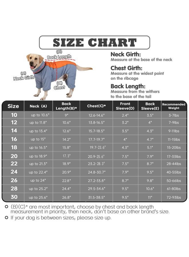 LOVINFURBABY Fullbody Thick Winter Coat for Dog, Reflective Windproof Fleece Lined Dog Snowsuit, Zip Up Waterproof Dog Jacket with Harness, HazeBlue,20 - Image 2