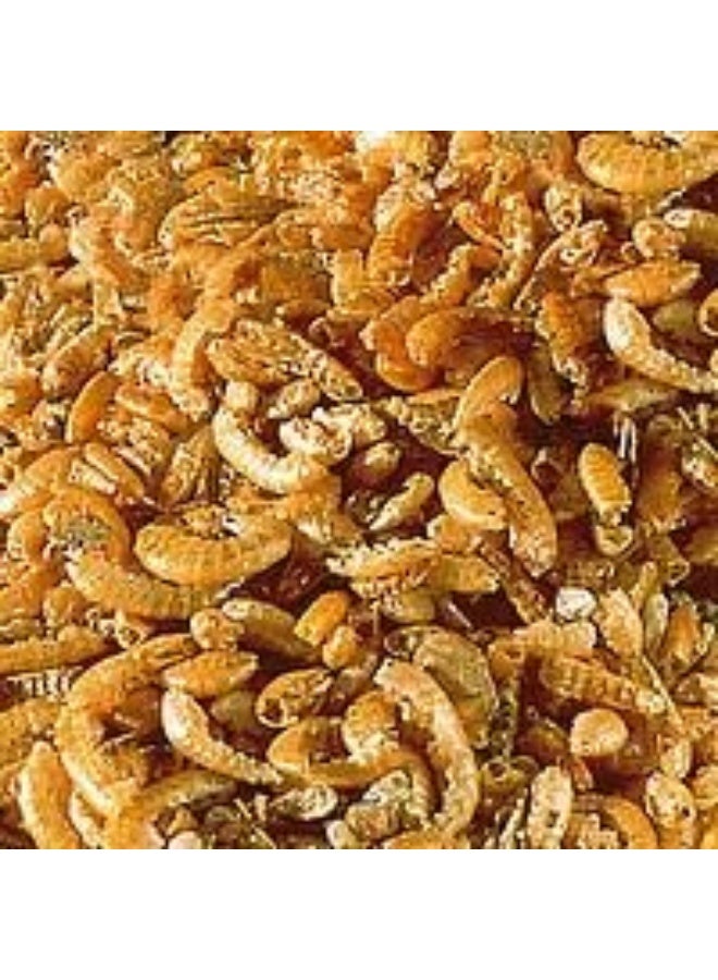Sera Raffy I Nature Reptile Food 100 ml - Image 2