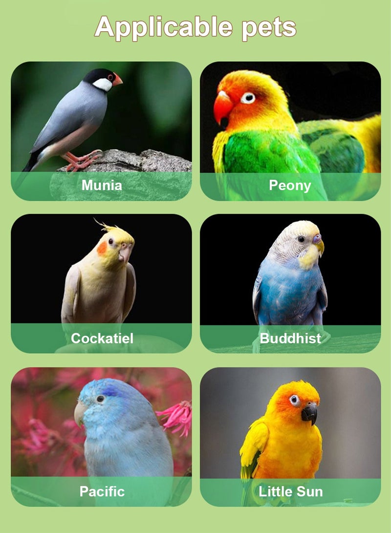 كيدل دفع وسحب الطيور صندوق الأغذية صندوق تغذية الطيور التدريب حاوية التخزين للطيور الببغاء صندوق الأغذية الطيور الببغاء صندوق الأغذية - Image 3