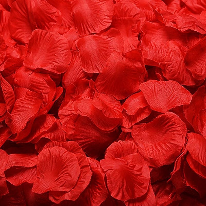 BetterJonny 3000 Pieces Artificial Rose Petals, Petals, Valentine's Day, Romantic Decoration, Rose Petals, Red Rose Petals, Artificial for Romantic Atmosphere, Wedding, Valentine's Day - Image 1