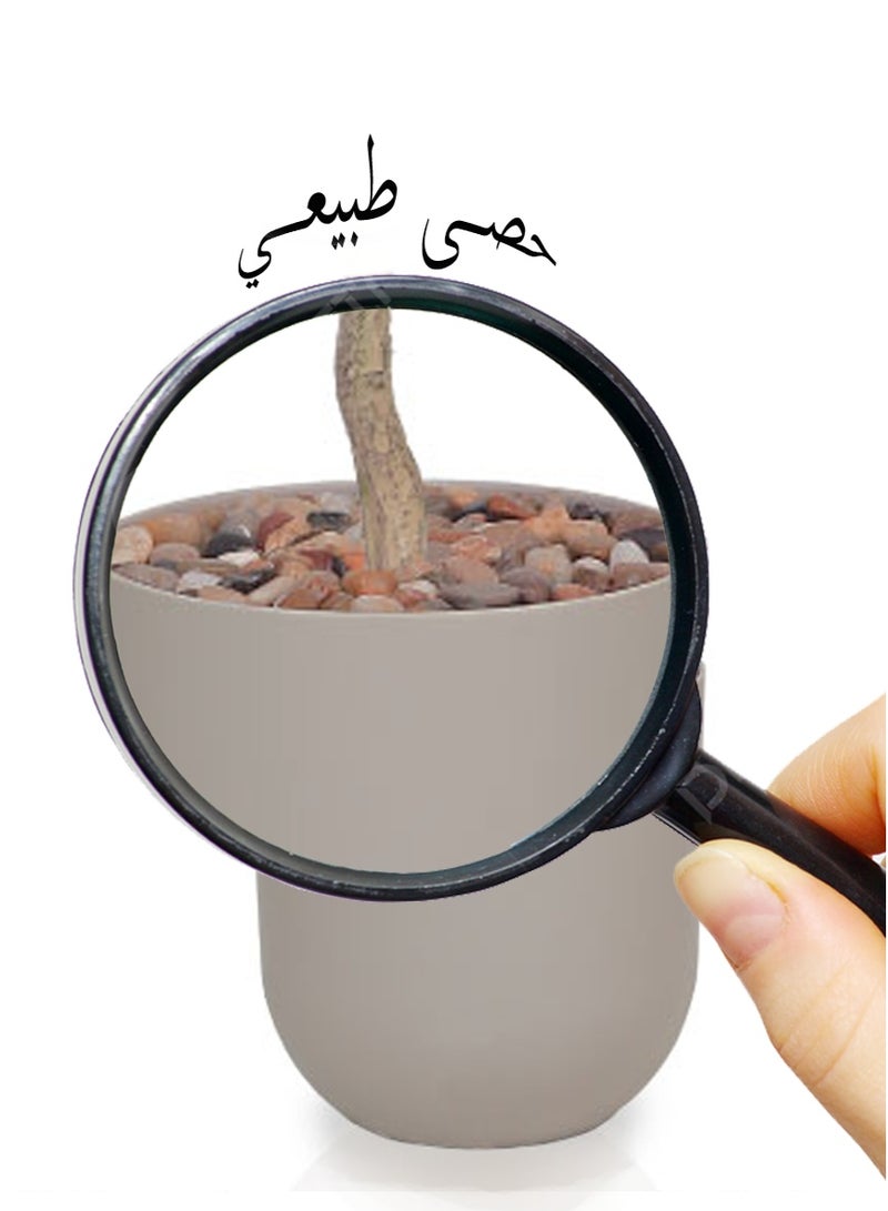 تالا شجرة زيتون صناعية بارتفاع 130 سم مع وعاء أنيق – لمسة طبيعية لديكور المنزل والمكتب - Image 4