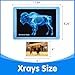 Odoorgames Zoo Animal Xrays for Kids 15 Pcs Animal Science Kit for Vet Role Play Light Table Accessories and Exploring Bone Structure - Image 4