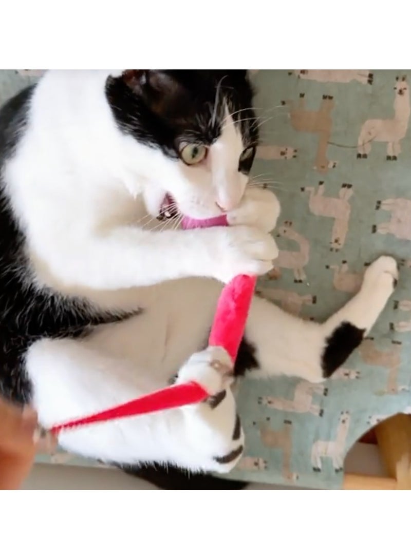 5 pieces Elastic Caterpillar Cat Toys for Active Fun Colorful and Safe Cat Chew Toys - Image 1