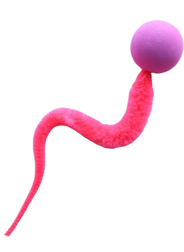5 pieces Elastic Caterpillar Cat Toys for Active Fun Colorful and Safe Cat Chew Toys - Image 3