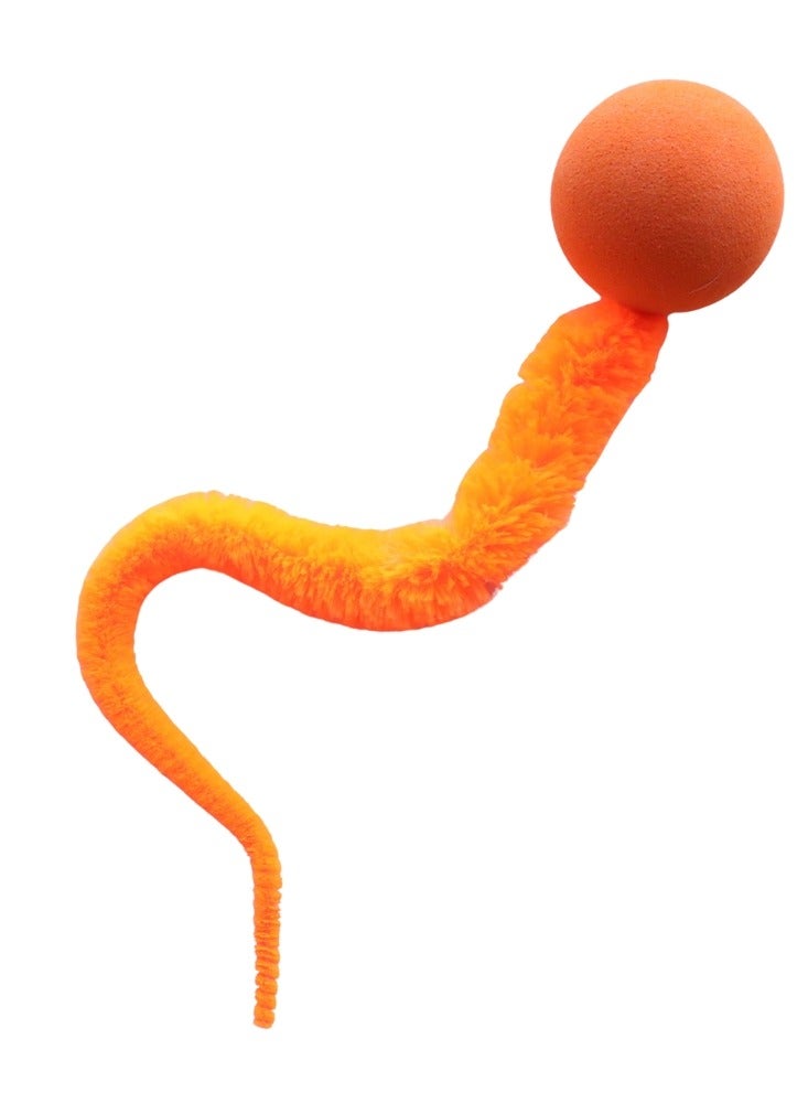 5 pieces Elastic Caterpillar Cat Toys for Active Fun Colorful and Safe Cat Chew Toys - Image 4