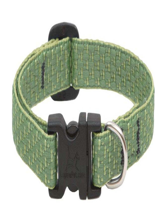 Lupine Extra Small Dog Collar by Lupine ECO Collection 1/2" Wide Moss adjusts from 6" to 9" - Image 1