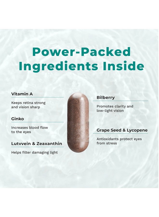 لايف سيزنز فيزيبيلي-تي - مكمل غذائي غني بالفيتامينات لصحة العين ودعم الرؤية - جذر الجزر، الكروم، التوت البري، الجنكة بيلوبا، مستخلص بذور العنب، الليكوبين، فيتامين أ، اللوتين والزياكسانثين - 60 كبسولة - Image 2