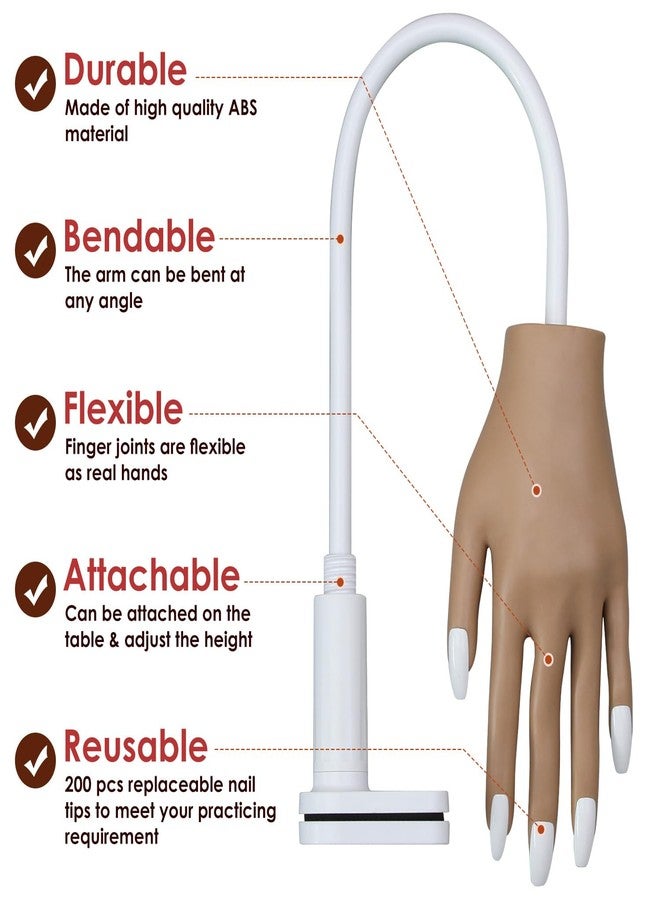BORNBYME Acrylic Practice Hand Fake Nails Kit, BORNBYME Upgrade Nail Training Adjustable Finger Kits, Fake Nails Hands for Nail Beginner Practice with 200 PCS Nail Tips, White - Image 2