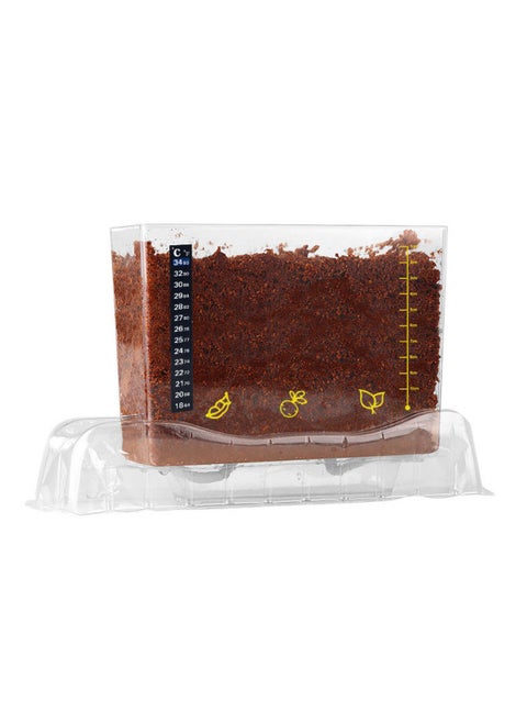 Elementary School Science Class DIY Experiment Set Kidsren's Plant Planting Observation Box Vegetable And Fruit Rhizome Growth-Specification:Package B Seeds (color Box)