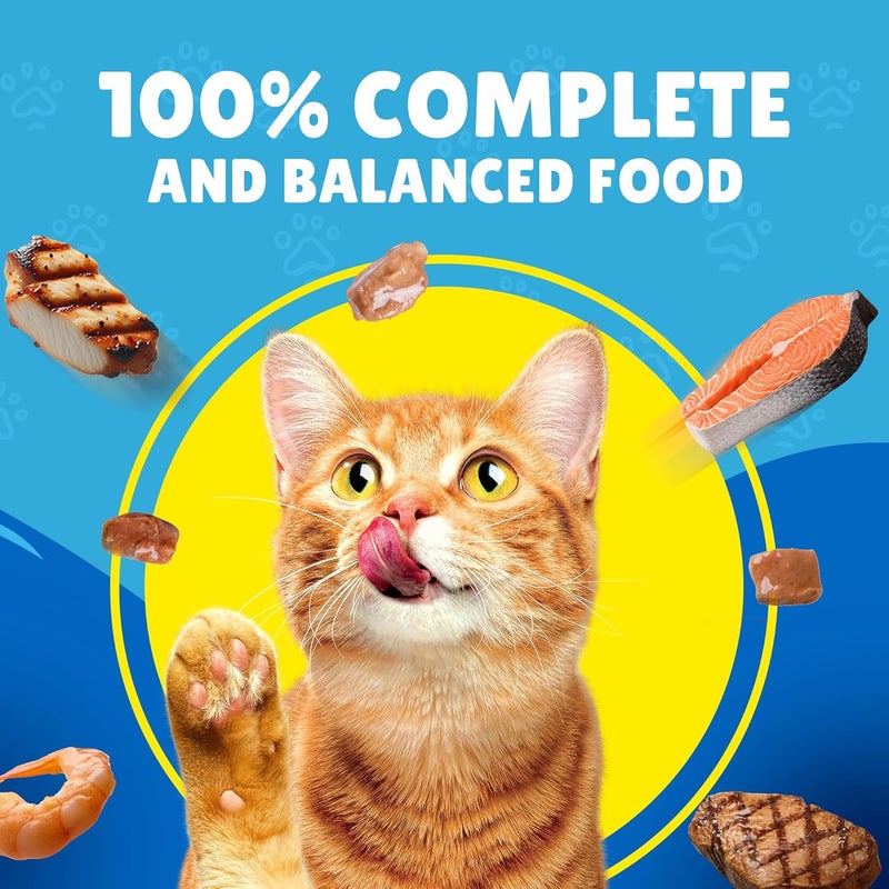 Friskies Purina Friskies Salmon Chunks In Gravy Wet Cat Food Pouch, 26 X 85 G, Yellow - Image 3