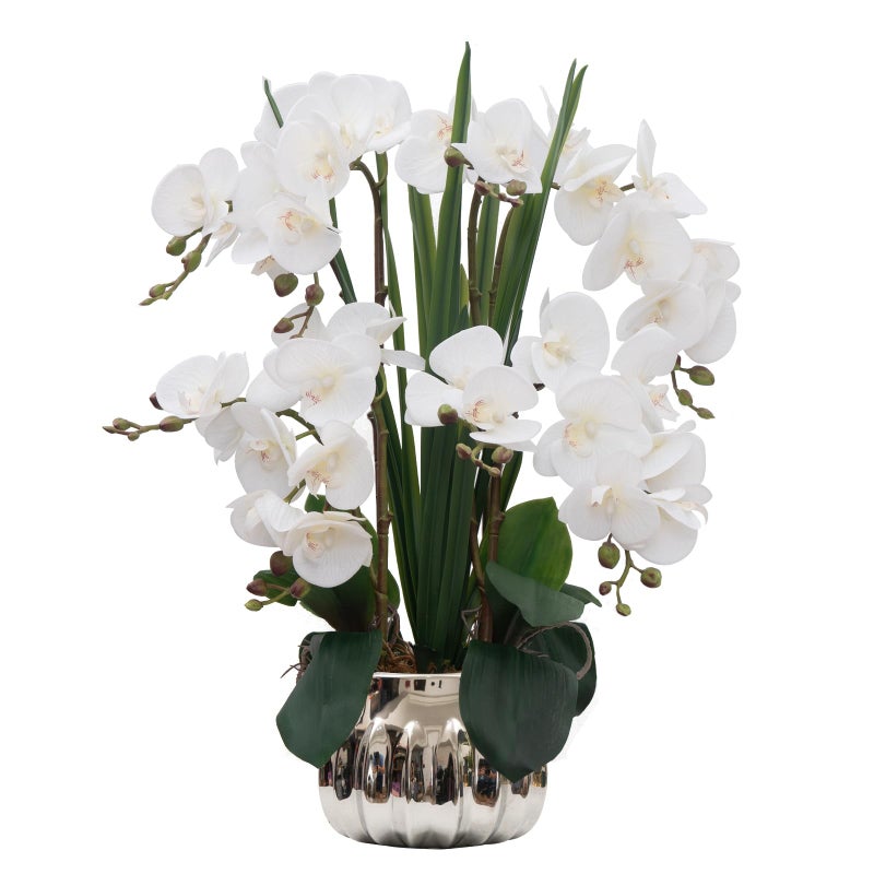 CXGS Artificial Orchid Flower Real Touch Faux Orchids in Ceramic Vase Large 22.9'' Fake Flowers White Phalaenopsis Floral for Home Indoor Decor - Image 1