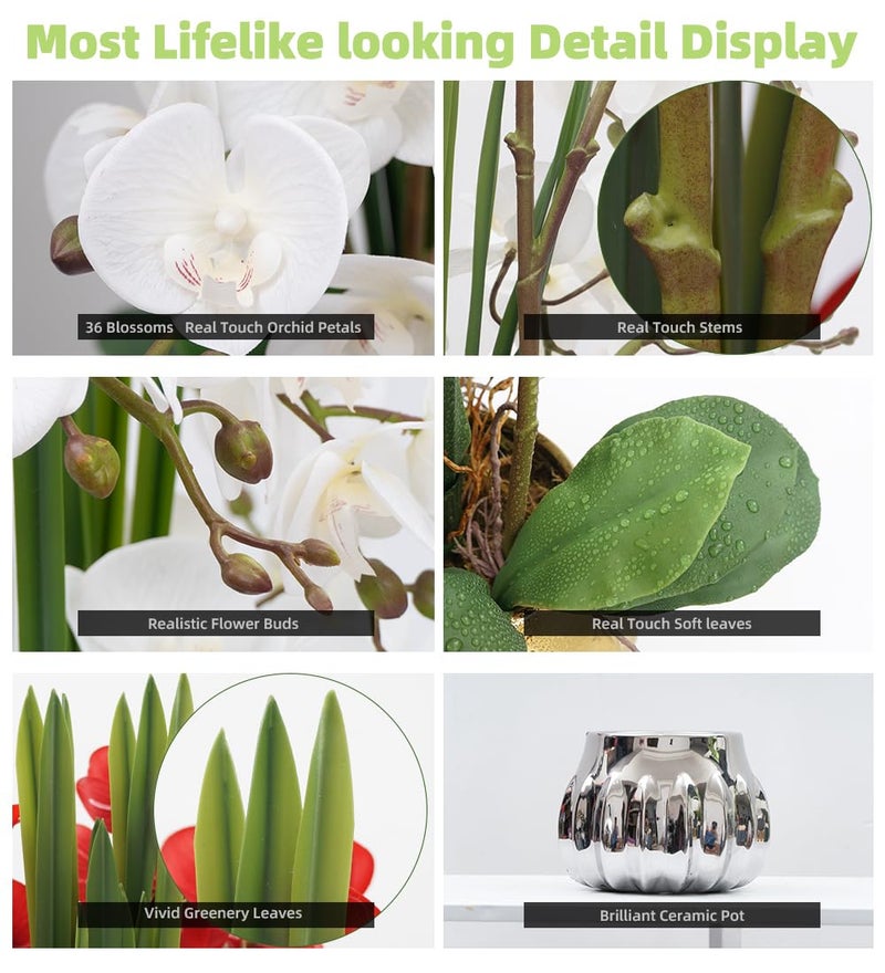 CXGS Artificial Orchid Flower Real Touch Faux Orchids in Ceramic Vase Large 22.9'' Fake Flowers White Phalaenopsis Floral for Home Indoor Decor - Image 3