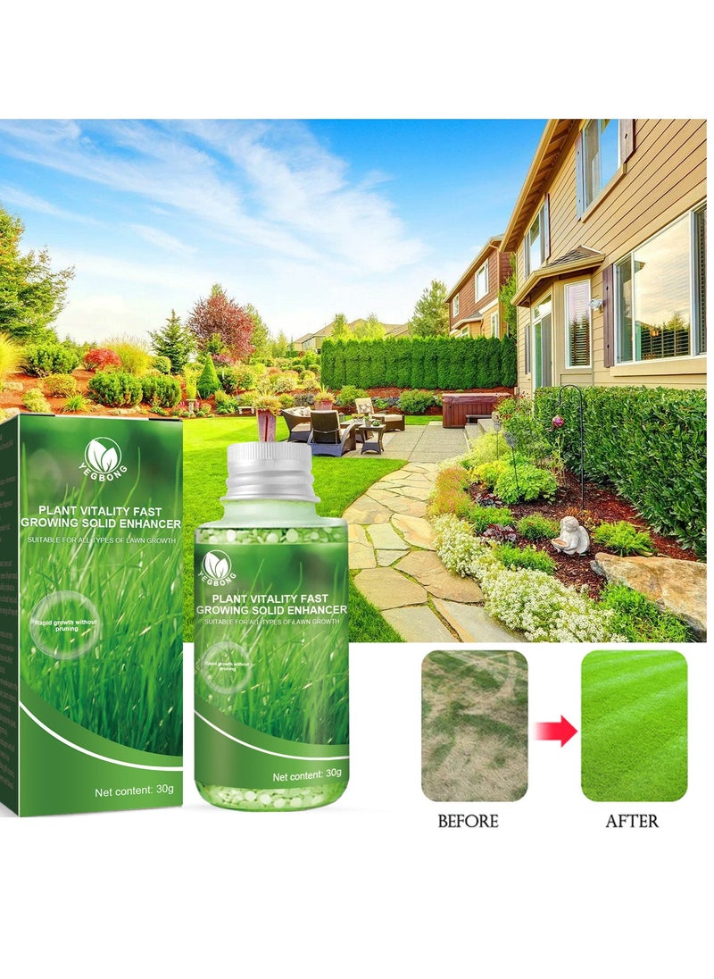 YEGBONG - Plant Vitality Fast Growing Solid Enhancer,Rooting Hormone for Cuttings, Transplant, and Seedling Rescue - Image 1