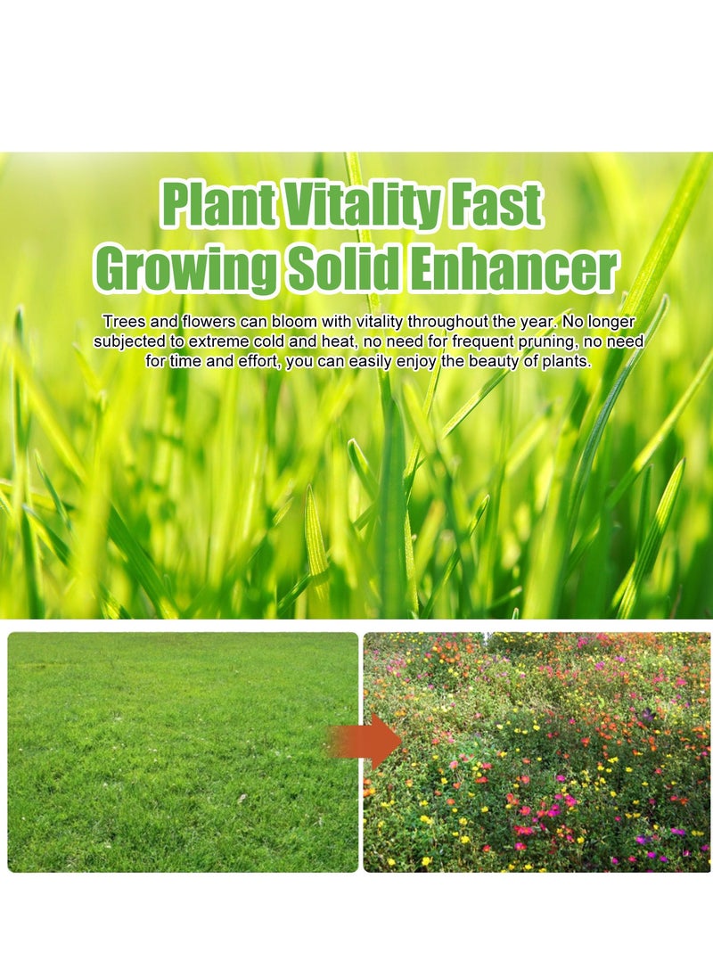 YEGBONG - Plant Vitality Fast Growing Solid Enhancer,Rooting Hormone for Cuttings, Transplant, and Seedling Rescue - Image 1