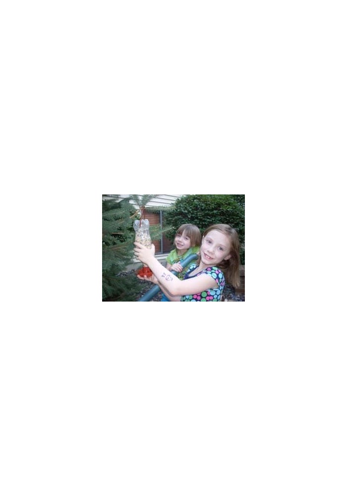 Gadjit Soda Bottle Bird Feeder Kit - 3 Pack - Image 3