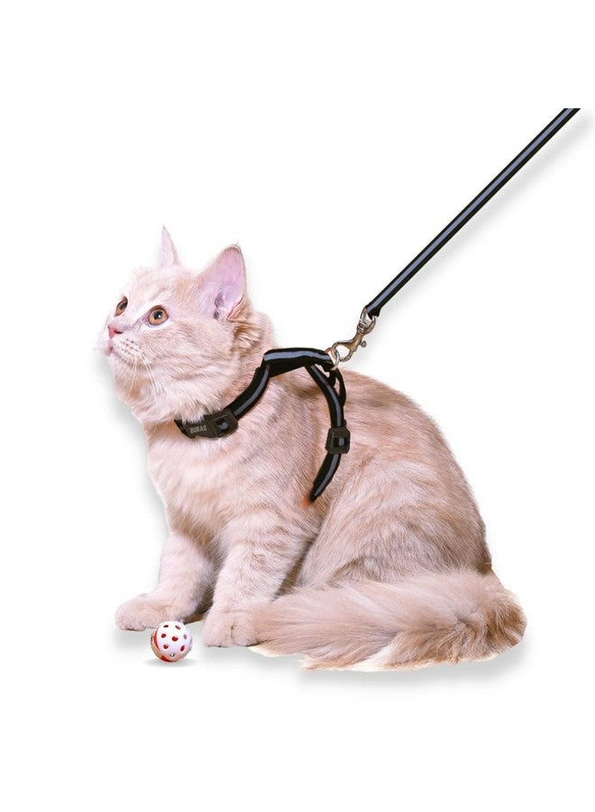 BURAQ Reflective Cat Harness With Leash Set - For Walking|Escape Proof|With Reflective Strip|Adjustable & Durable|Accesories For Cats (Black), Pack of 1 - Image 1