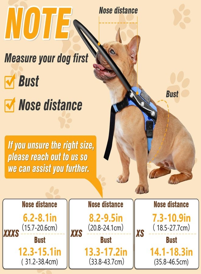 LetPetRun Blind Dog Halo Harness, Adjustable Protective Ring Collar Vest, Safe Navigation & Head Protection for Visually Impaired Pets (XXS for 13.3-17.2in) - Image 2