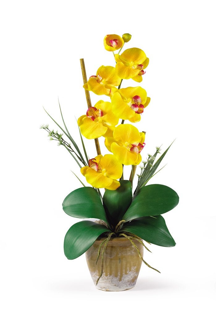 Nearly Natural Phalaenopsis Silk Orchid Flower Arrangement