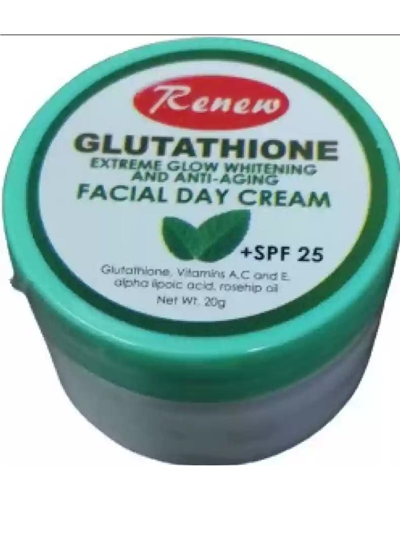 Renew Glutathione Extreme Glow Whitening & Anti-Aging Facial Day Cream 20gm - Image 2