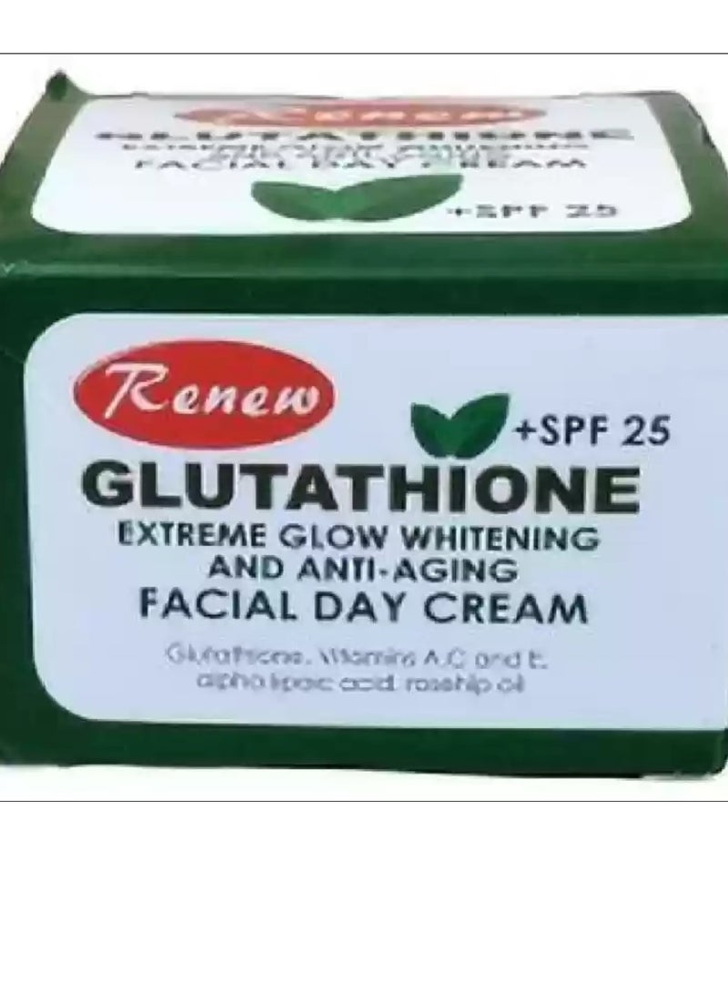 Renew Glutathione Extreme Glow Whitening & Anti-Aging Facial Day Cream 20gm - Image 3
