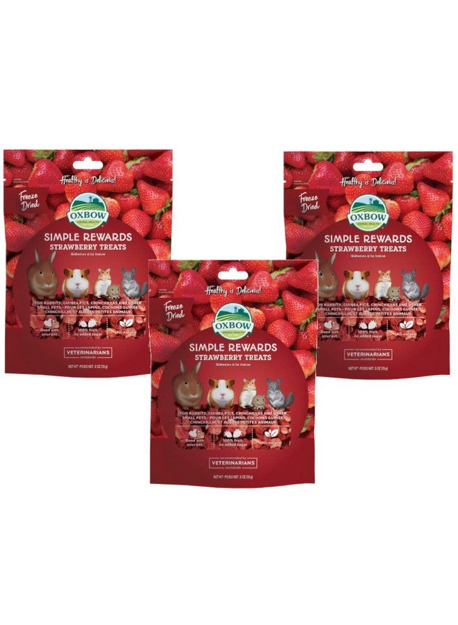 أوكسبو مكافآت أوكسبو البسيطة للأرانب وخنازير غينيا والشنشيلة والفراولة 0.5 أونصة عبوة من 3 قطع - Image 3