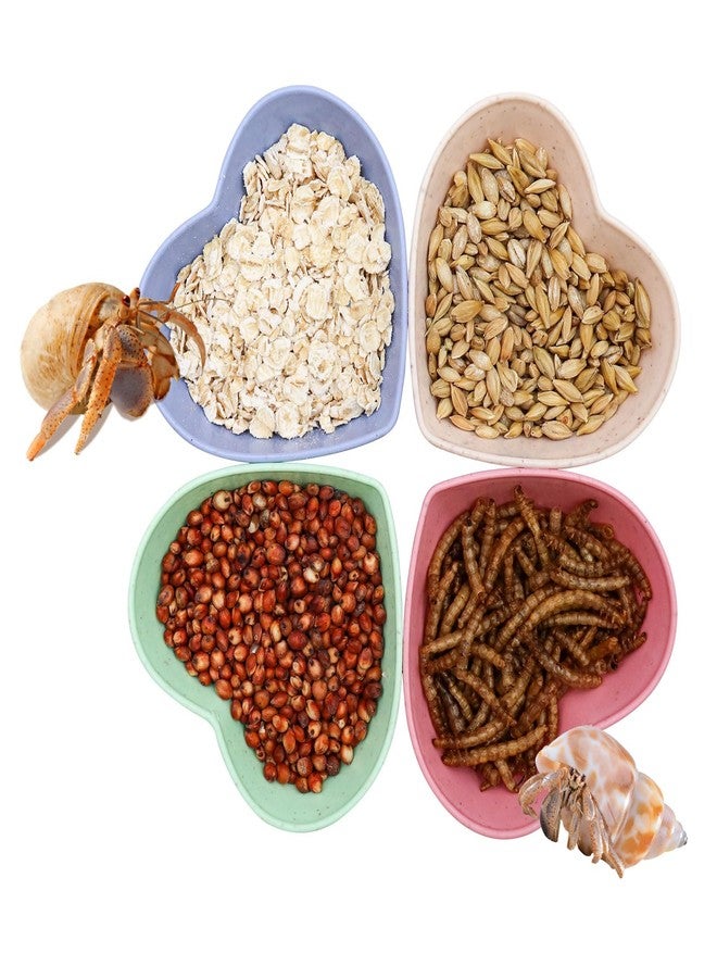 Neeenn 4 Pack Hermit Crab Plastic Food Dish, Hermit Crab Food & Water Bowl, Mini Food Dish Kit, Suitable for Hermit Crab Tarantula Snail - Image 1