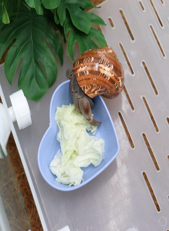 Neeenn 4 Pack Hermit Crab Plastic Food Dish, Hermit Crab Food & Water Bowl, Mini Food Dish Kit, Suitable for Hermit Crab Tarantula Snail - Image 2