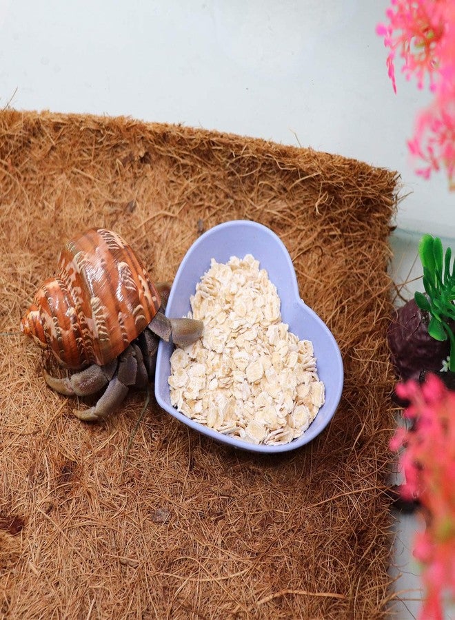 Neeenn 4 Pack Hermit Crab Plastic Food Dish, Hermit Crab Food & Water Bowl, Mini Food Dish Kit, Suitable for Hermit Crab Tarantula Snail - Image 5