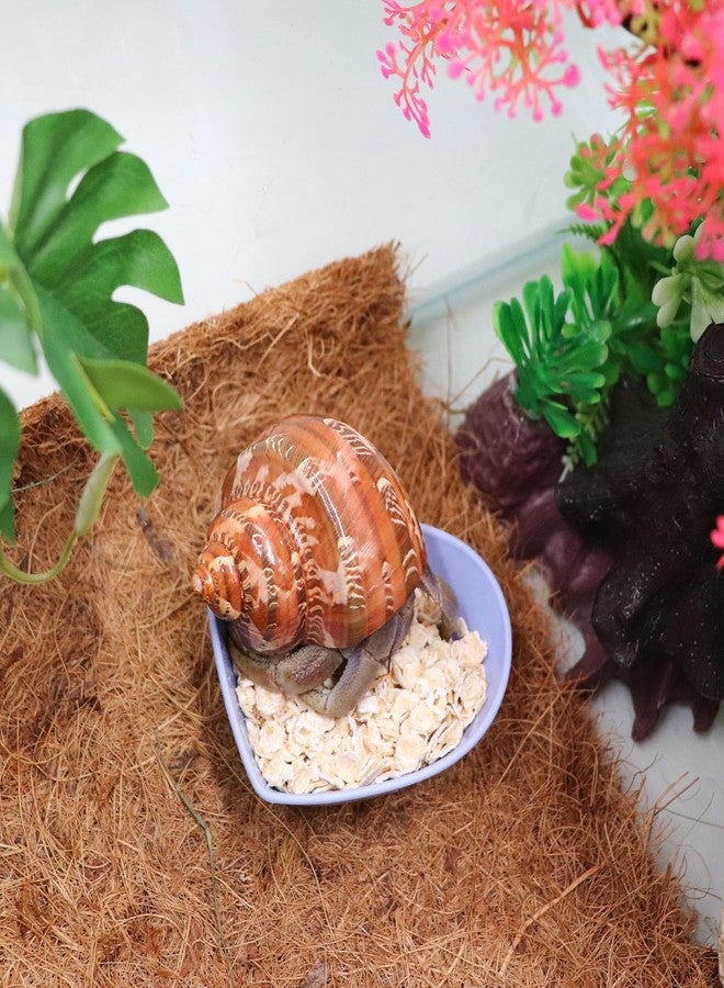 Neeenn 4 Pack Hermit Crab Plastic Food Dish, Hermit Crab Food & Water Bowl, Mini Food Dish Kit, Suitable for Hermit Crab Tarantula Snail - Image 3