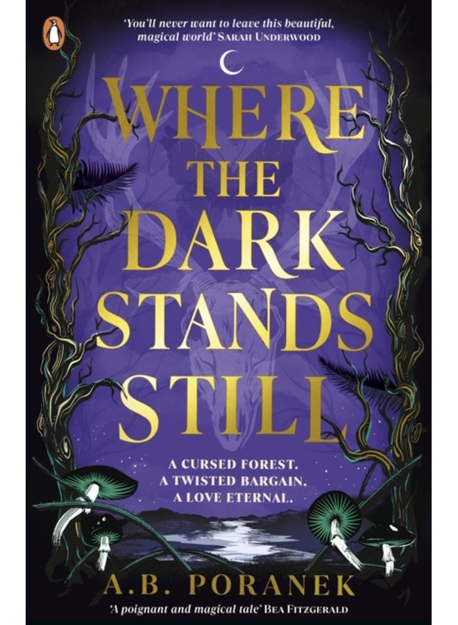 حيث لا يزال الظلام قائما