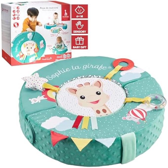 FRESH TOUCH MOTOR SKILLS WHEEL - MULTICOLOR - Image 1