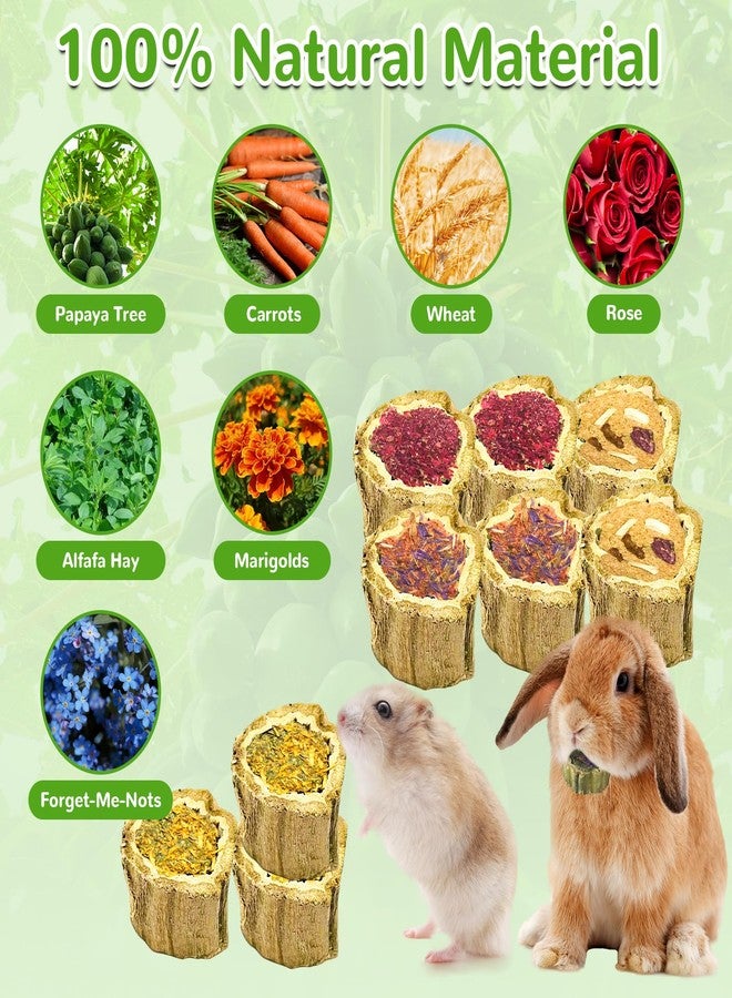 Tyotrbs 12Pcs Rabbit Chew Toys for Bunny,4 Varieties Natural Papaya Wood Chew Treats with Organic Alfalfa Hay, Dried Carrot, Apple and Sweet Potato for Rabbits Guinea Pigs Hamsters Chinchillas Gerbils - Image 3
