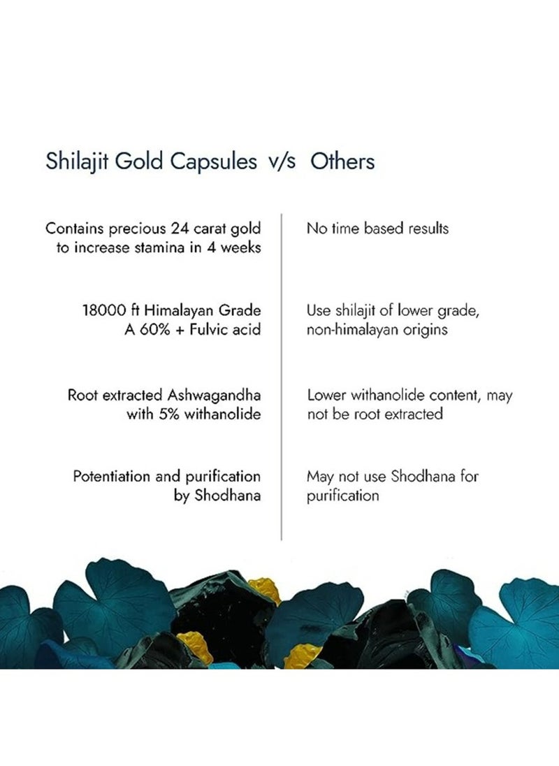 Kapiva - Shilajit Gold 60 Capsules - Image 1