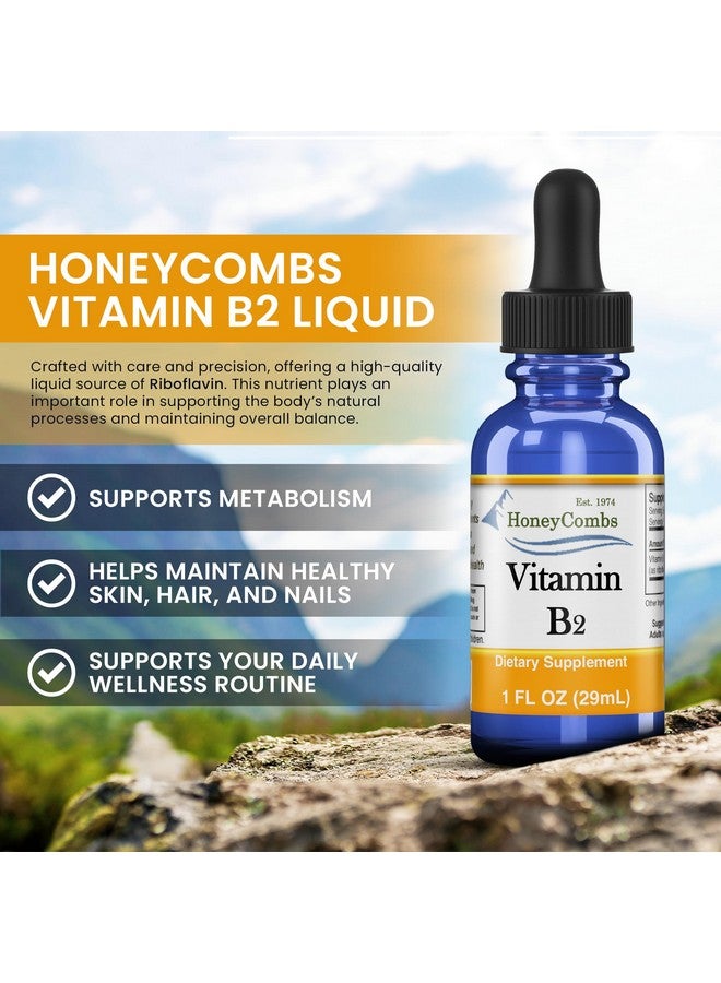 HoneyCombs Vitamin B2 Riboflavin Supplement Liquid Drops - High Potency Vitamin B2 for Men & Women - Maintain Healthy Digestion, Nervous System, Hair, Skin, Nails - Vegan Liquid Vitamins (1 Fl oz) - Image 2