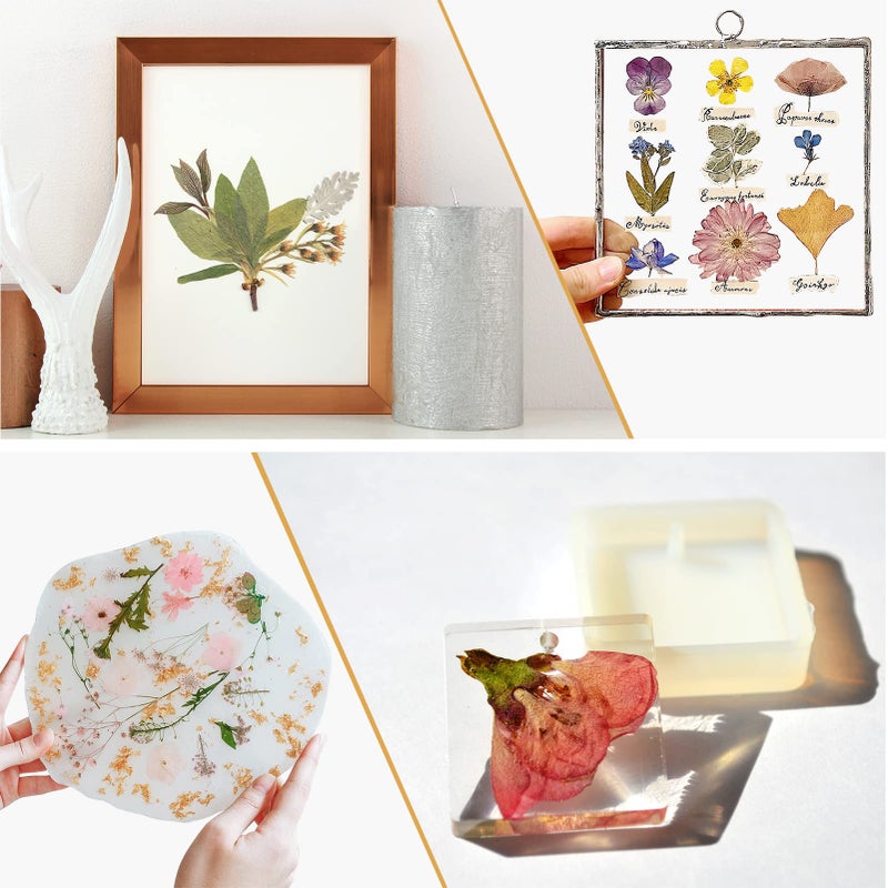 Aboofx Aboofx Microwave Flower Press, Quickly Flower Pressing Kit, 6.3 x 6.3 inch Microwave Flower Pressing Kit for Adults Fast Making Pressed Plant Specimen DIY Arts and Crafts  - Image 2