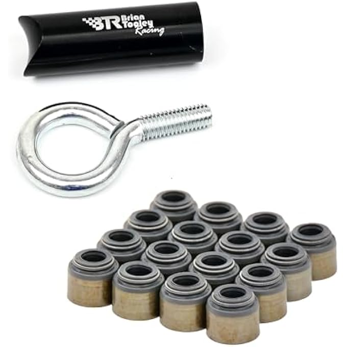 rayihni Michigan Motorsports Brian Tooley Racing BTR LS Valve Seal Kit with Install tool 48 53 57 60 62 70 - Image 1