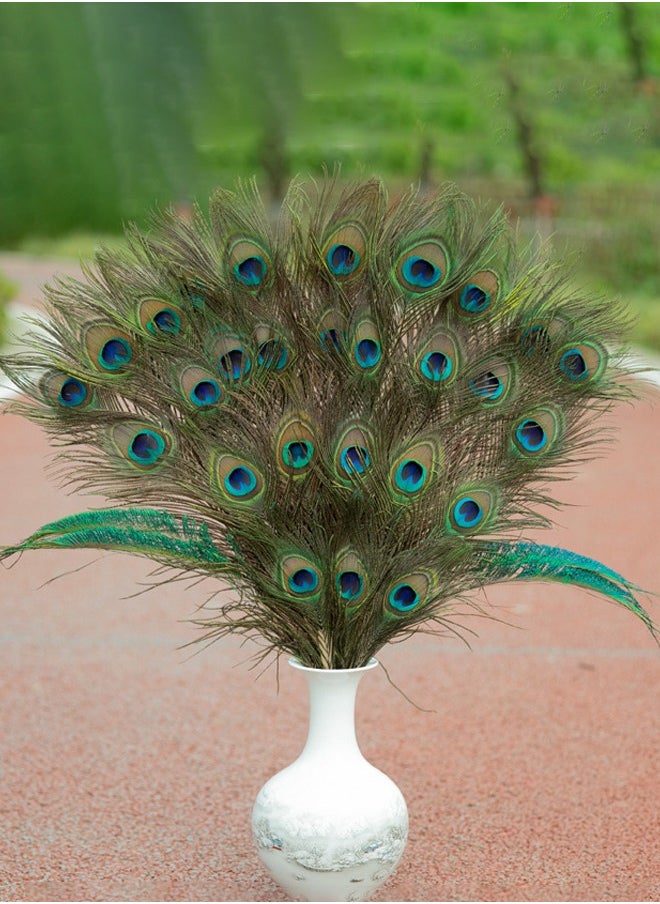 Generic Natural Peacock Feathers, 10 to 12-Inch Eyed Peacock Tail Feathers, DIY Craft Decoration for Weddings, Costumes – Set of 50 Peacock Feathers  - Image 3