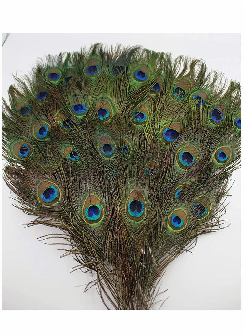 Generic Natural Peacock Feathers, 10 to 12-Inch Eyed Peacock Tail Feathers, DIY Craft Decoration for Weddings, Costumes – Set of 50 Peacock Feathers  - Image 5