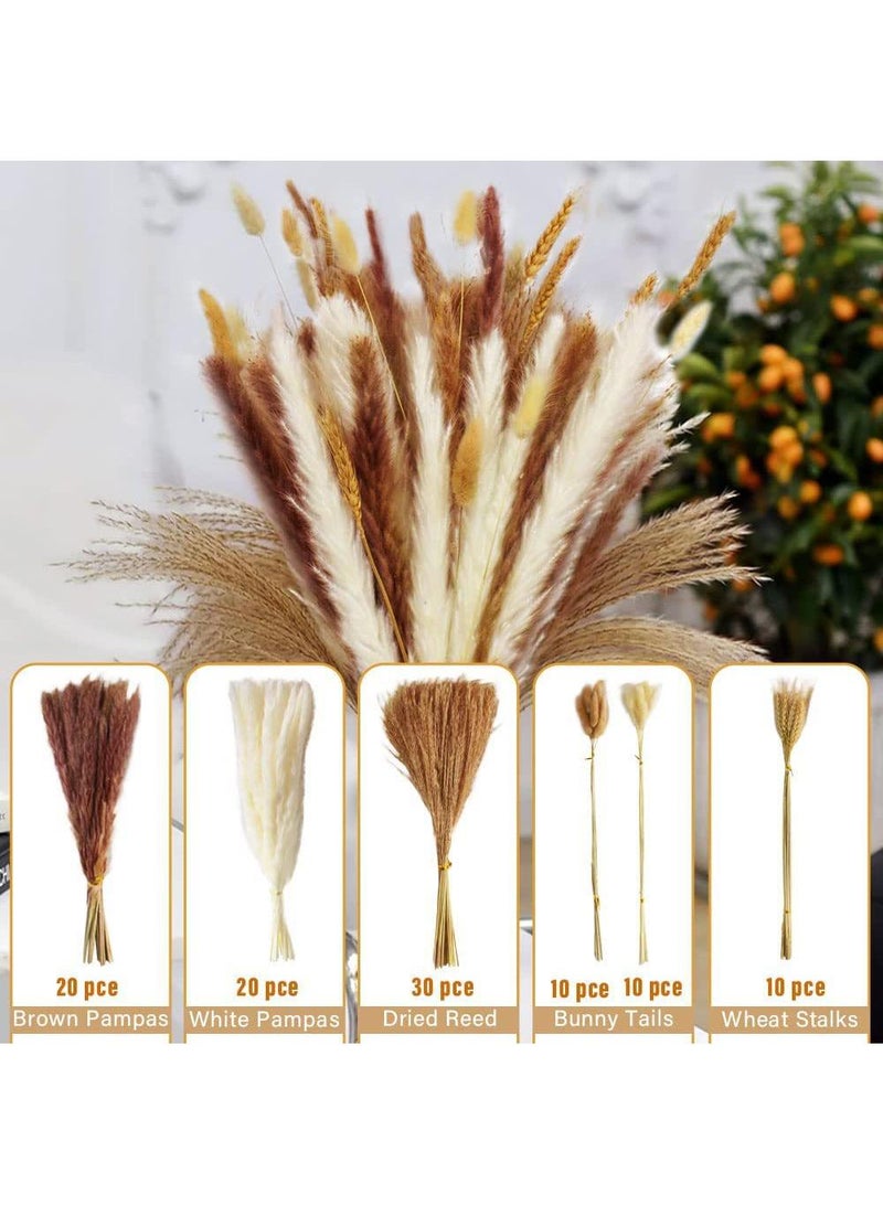 Generic 100 Pcs Dried Pampas Grass Dried Flowers Of Small Reeds Boho Natural Flowers Arrangements White Reed Bunny Tails for Home Decor Flower Living Room Balcony Wedding Party 