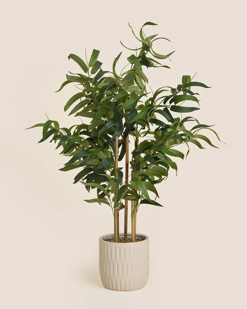 REDTAG White Artificial Bamboo in Ceramic Pot