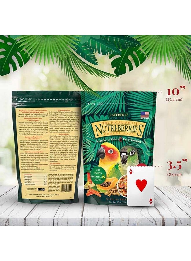 لافيبيرز طعام LAFEBER'S Tropical Fruit Nutri-Berries Conure، مصنوع من مكونات غير معدلة وراثيًا ومناسبة للبشر، للكونيور (عبوة من قطعتين بنكهة الفاكهة الاستوائية، 10 أونصات)  - Image 3