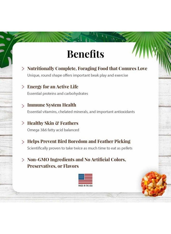 لافيبيرز طعام LAFEBER'S Tropical Fruit Nutri-Berries Conure، مصنوع من مكونات غير معدلة وراثيًا ومناسبة للبشر، للكونيور (عبوة من قطعتين بنكهة الفاكهة الاستوائية، 10 أونصات)  - Image 2