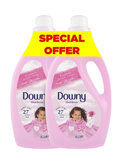 Regular Fabric Softener Floral Breeze Dual Pack