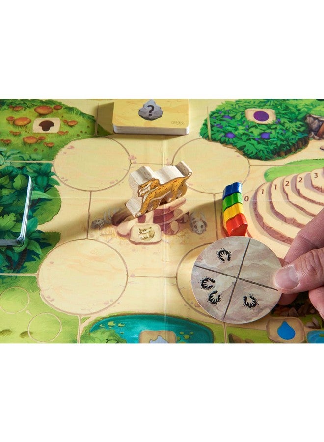 HABA هبا هونغا - لعبة لوحية مثيرة للاستراتيجية التكتيكية وإدارة الموارد للمبتدئين واللاعبين ذوي الخبرة (صنع في ألمانيا) - Image 2