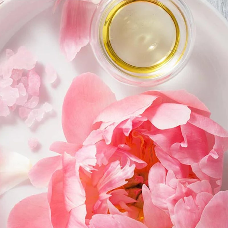 COSMO Floral Rush Peony Rose Perfumed Body Lotion 480ml, Aloe Vera + Shea Butter, Daily Moisture Care, For Men and Women - Image 3