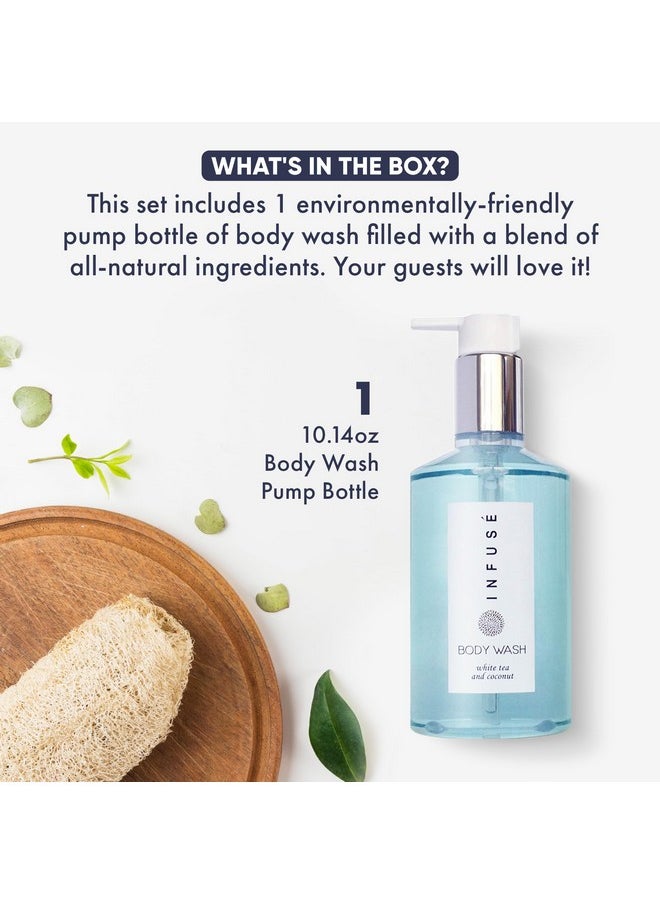 Terra Pure - Infuse Body Wash Retail Size Hotel Amenities 10.14 Oz. - Image 1