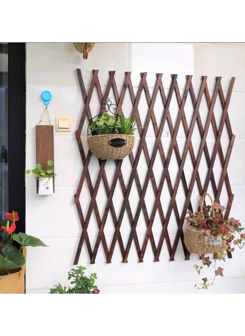 LINGWEI - Wooden Expendable Garden Fence Wooden Trellis Fence Portable Wood Wicker Expandable Wicker Fence For Home Hanging Wooden Plant Trellis Frame Plant Climbing Fence For Garden - Image 1