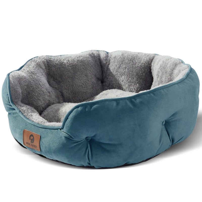 Asvin Small Dog Bed for Small Dogs Cat Beds for Indoor Cats Pet Bed for Puppy and Kitty Extra Soft Machine Washable with AntiSlip WaterResistant Oxford Bottom Teal 20 inches