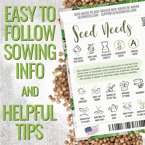 Seed Needs Coriander Seeds for Planting Culantro & Cilantro - Non-GMO Heirloom & Untreated Herb Seed to Plant an Indoor/Outdoor Culinary Medicinal Garden (Collection of 2 Packets) - Image 4